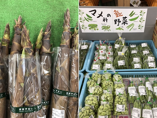 旬の野菜 - 三連水車の里 あさくら