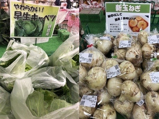 旬の野菜 - 三連水車の里 あさくら